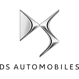 DS logo